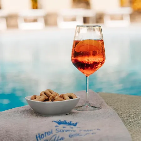 Hotel Sofia 4*